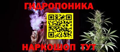 spice Волжск
