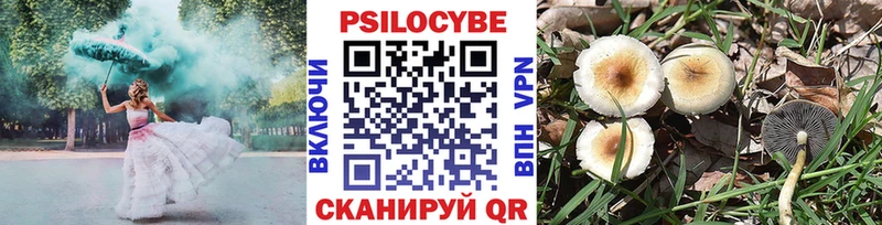 Псилоцибиновые грибы Psilocybe  блэк спрут онион  Гусь-Хрустальный  дарнет шоп 