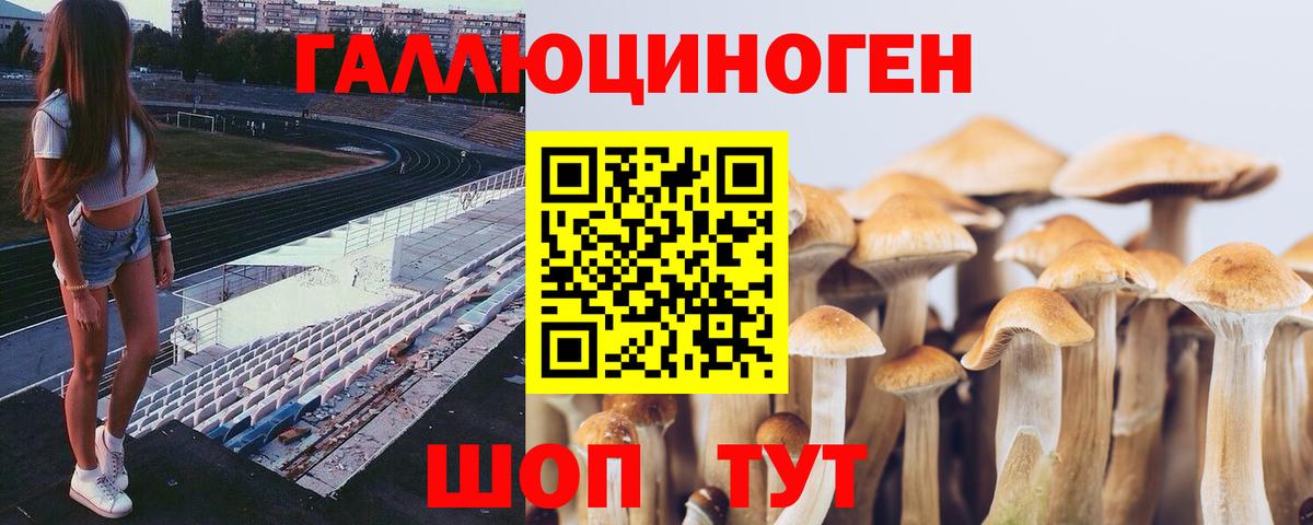 Псилоцибиновые грибы GOLDEN TEACHER Гусь-Хрустальный