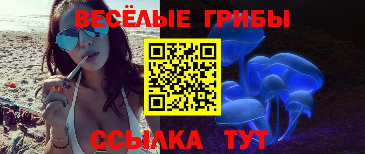 Галлюциногенные грибы Cubensis  Вход с VPN  Гусь-Хрустальный 