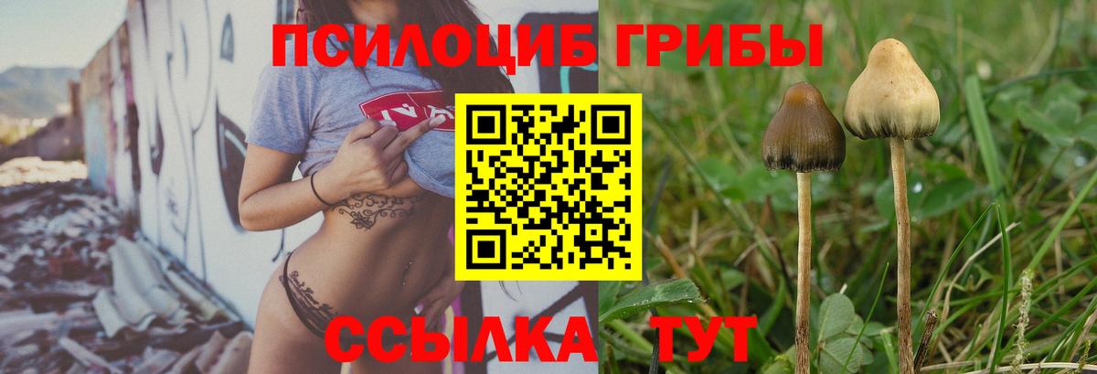 Галлюциногенные грибы Psilocybe  Галлюциногенные грибы мухоморы  Гусь-Хрустальный 